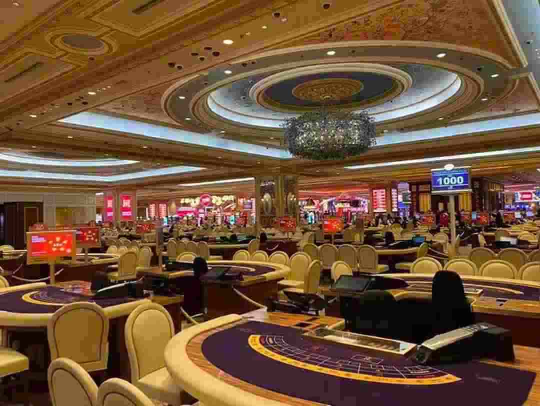 Golden Castle Casino với một không gian cá cược cực rộng lớn 