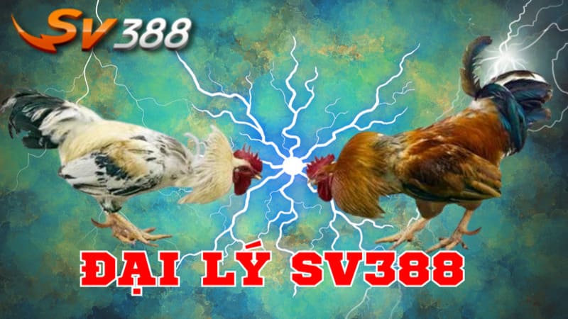 Nắm rõ các lưu ý sau khi muốn trở thành đại lý SV388